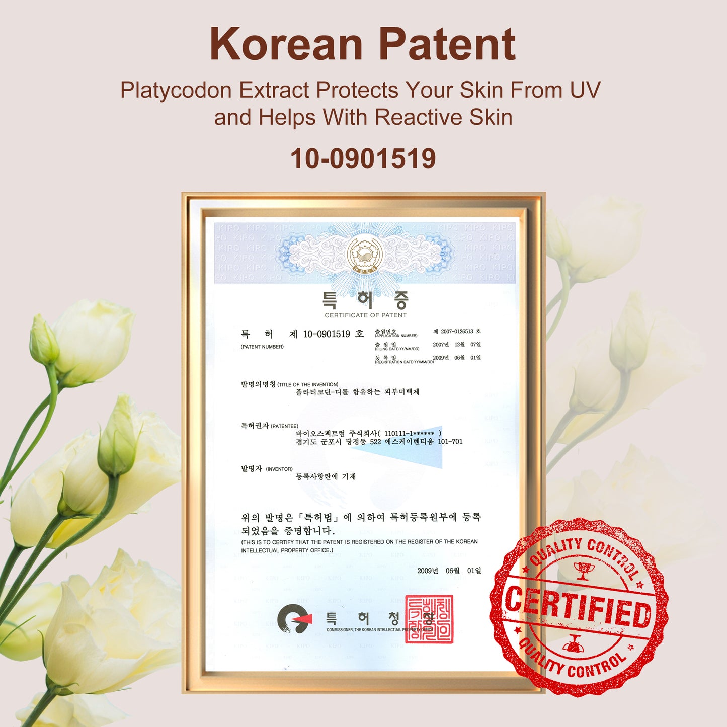 Misoour Glowing Cream - Natural Glow Enhancer, Korean Patented Skincare Formula with Platycodon Moisturizers Smooth Skin Repair Radiance
